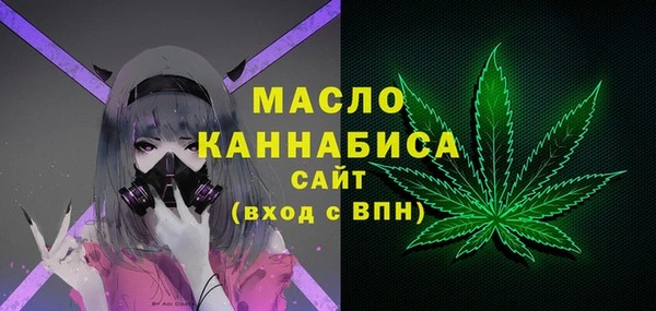 шишки Гусь-Хрустальный